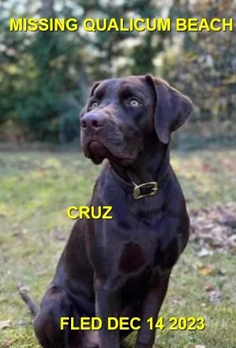 HAPPY ENDINGS - QUALICUM BC. / CRUZ / DEC. 14, 2023