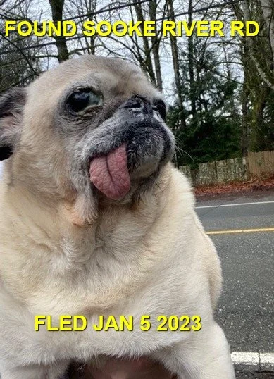 HAPPY ENDINGS - SOOKE BC. / JAN. 5, 2024