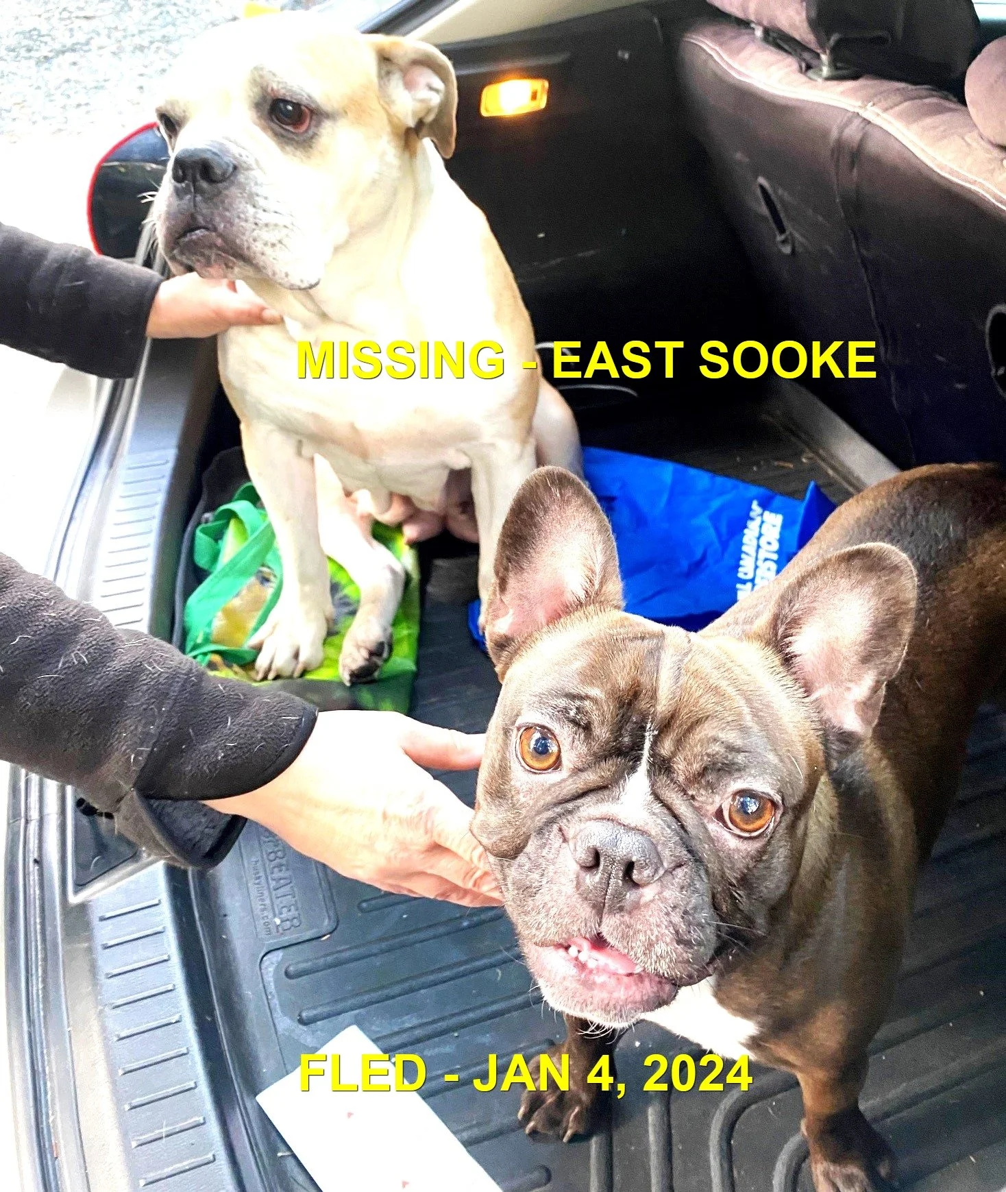 HAPPY ENDINGS - EAST SOOKE BC. / JAN. 4, 2024