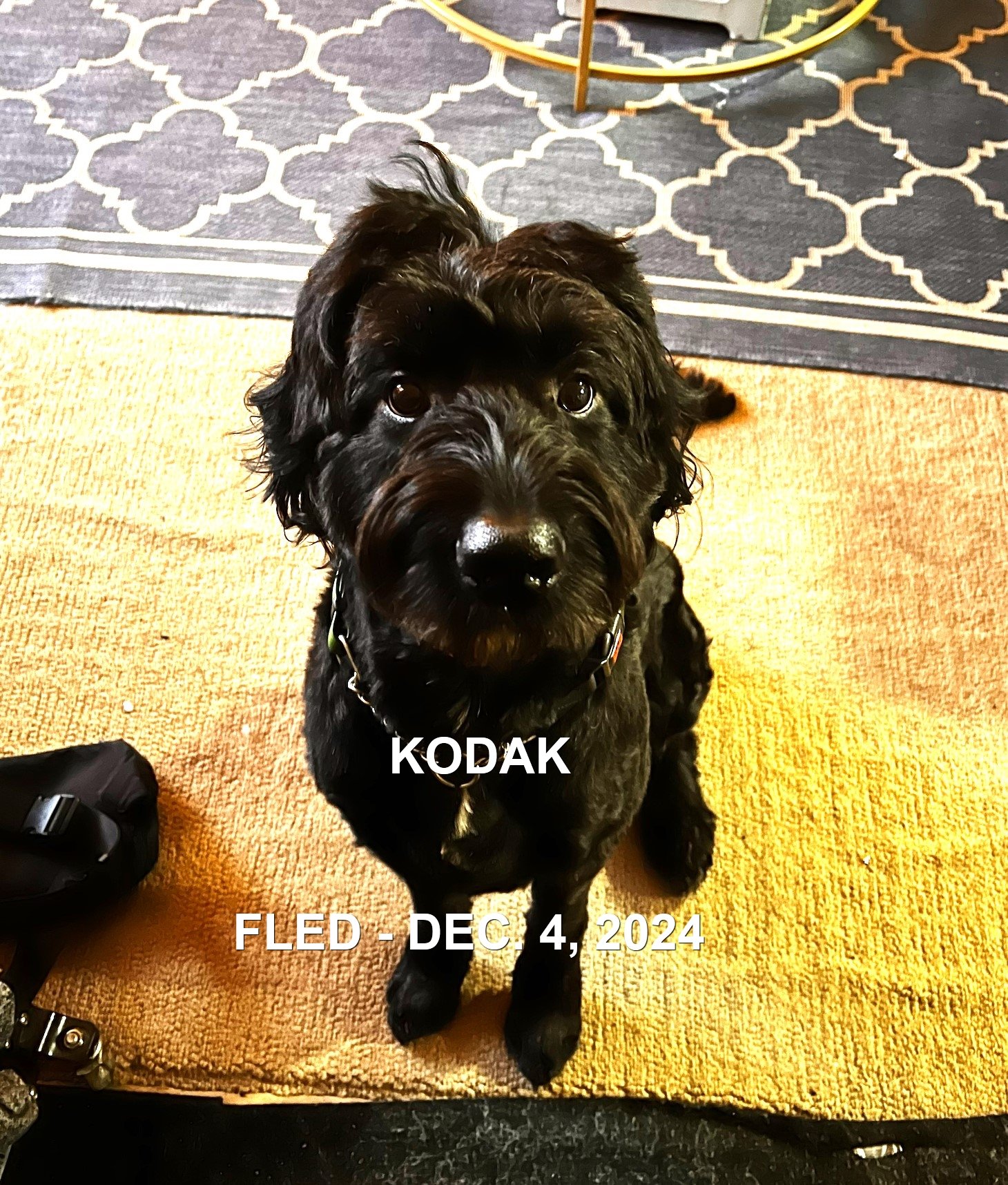 HAPPYE ENDINGS - NANAIMO BC. / KODAK / JAN. 4, 2024