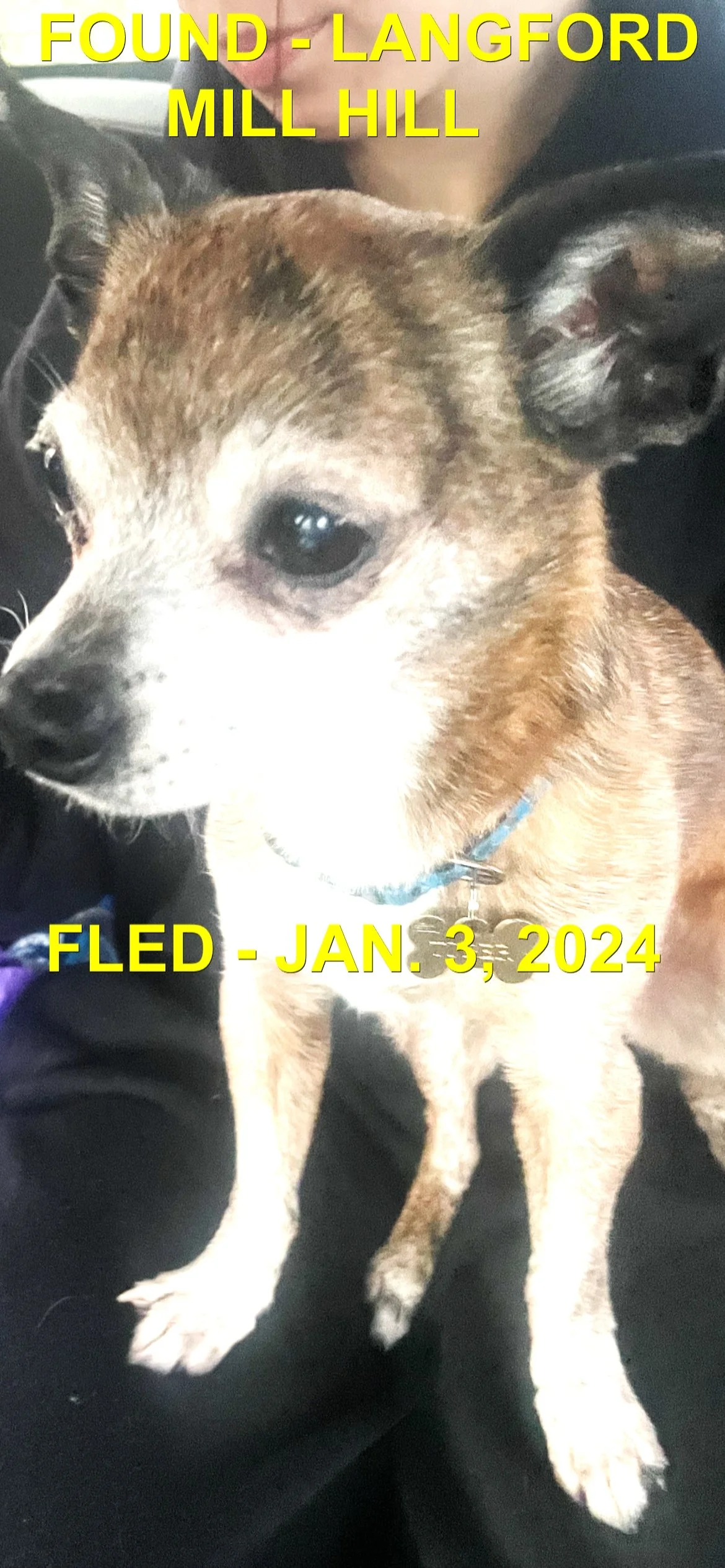 HAPPY ENDINGS - LANGFORD BC. / TIGER / JAN 3, 2024