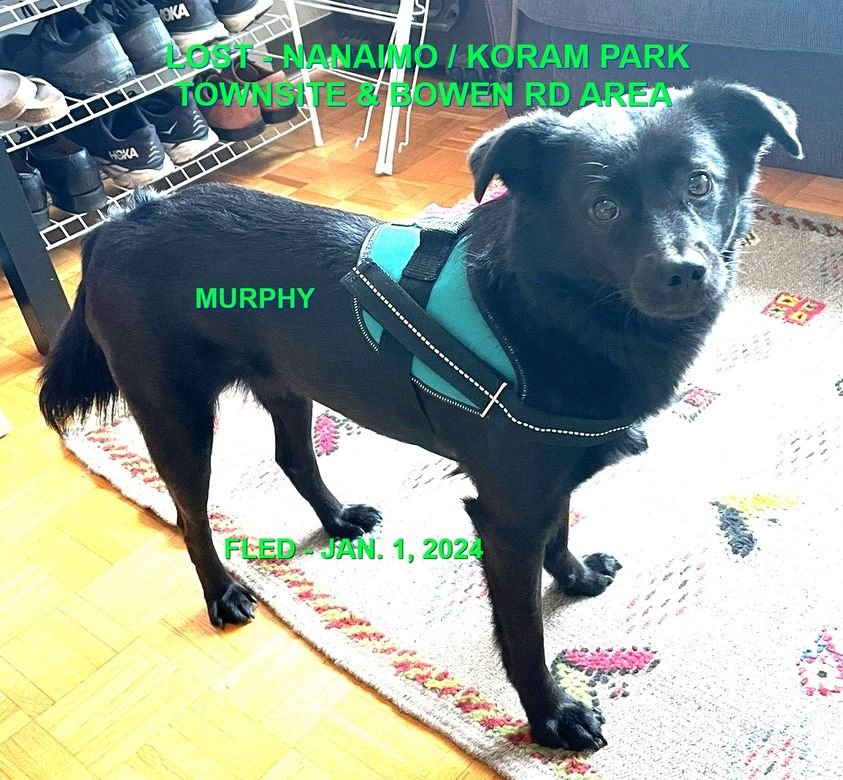 HAPPY ENDINGS - NANAIMO BC. / MURPHY / DEC. 31, 2023 (Found Jan 4, 2024