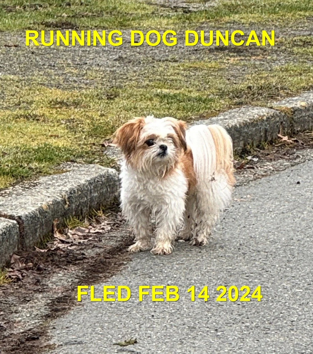 HAPPY ENDINGS - DUNCAN BC.  / FEB. 14, 2024