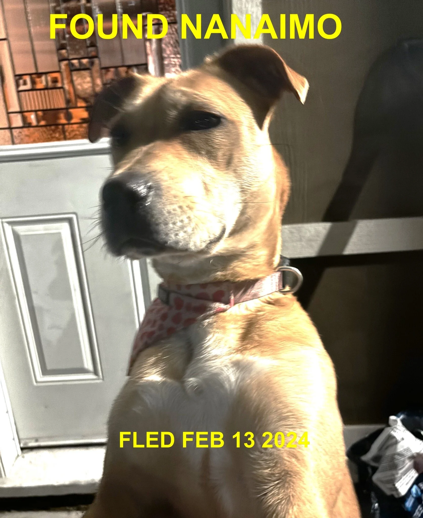 HAPPY ENDINGS - NANAIMO BC. / FEB. 13, 2024