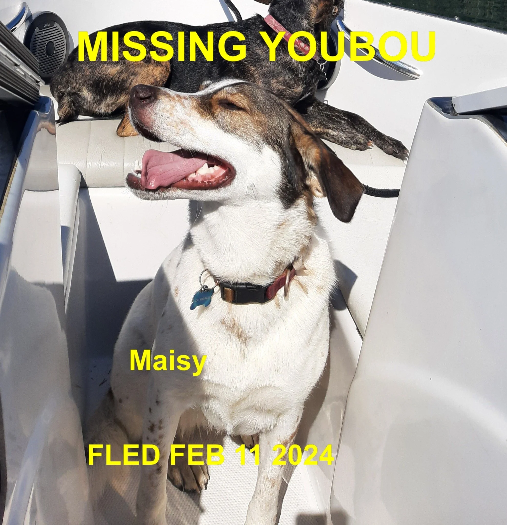 HAPPY ENDINGS - YOUBOU BC. / MAISY / FEB. 11, 2024