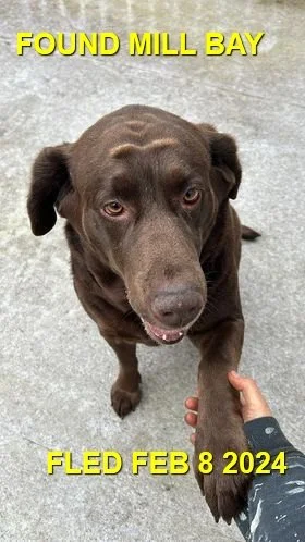 HAPPY ENDINGS - MILL BAY BC. / FEB. 8, 2024