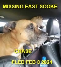 HAPPY ENDINGS - EAST SOOKE BC. / CHASE / FEB. 8, 2024