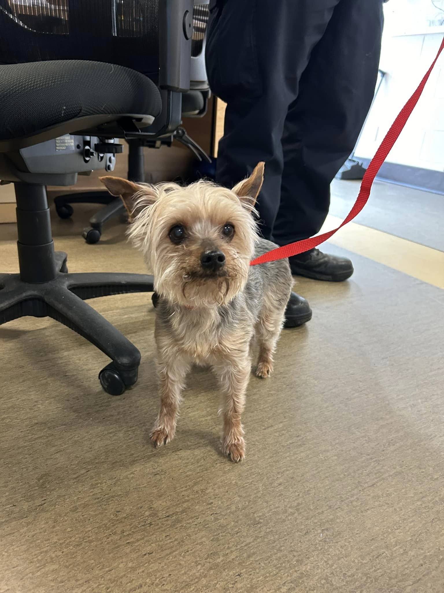 GONE TO SHELTER / HAPPY ENDINGS - NANAIMO BC. / FEB. 7, 2024