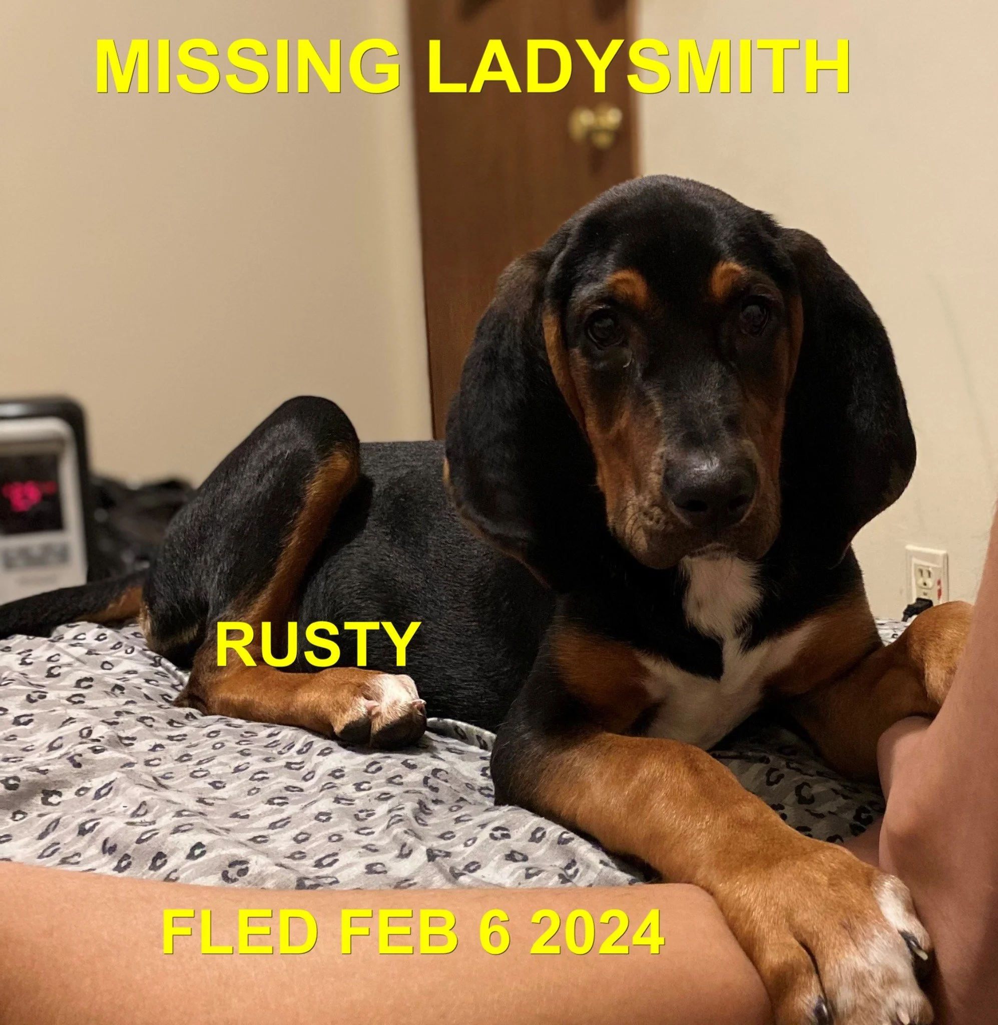 HAPPY ENDINGS - LADYSMITH BC. / RUSTY / FEB. 6, 2024
