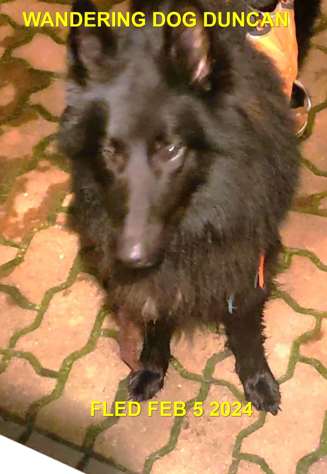 HAPPY ENDINGS - DUNCAN BC. / FEB 4, 2024