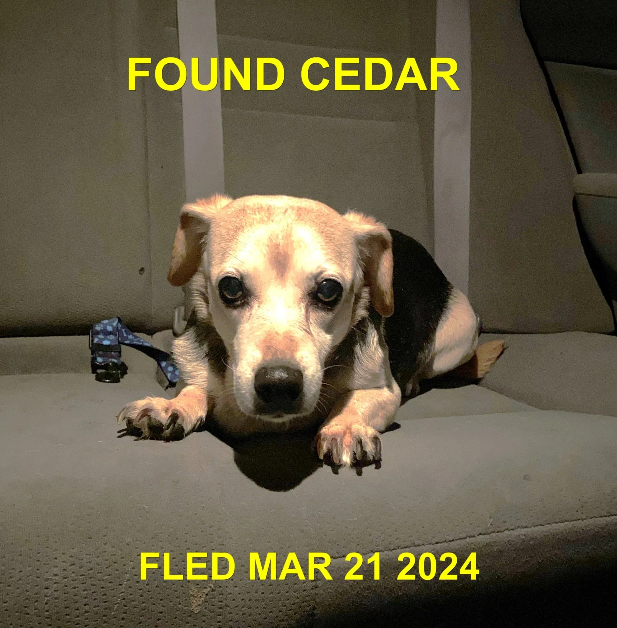 HAPPY ENDINGS - CEDAR BC / MARCH 20, 2024