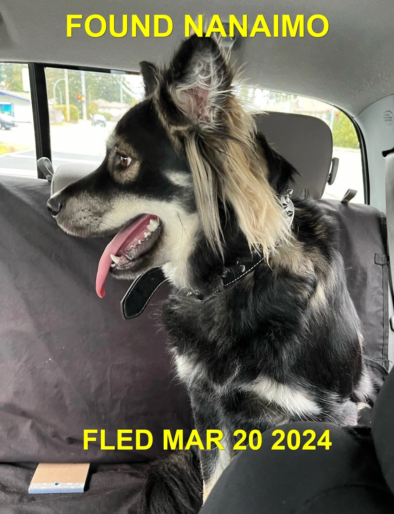 HAPPY ENDINGS - NANAIMO BC. / MARCH 20, 2024