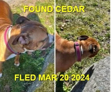 HAPPY ENDINGS - CEDAR BC. / MARCH 20, 2024