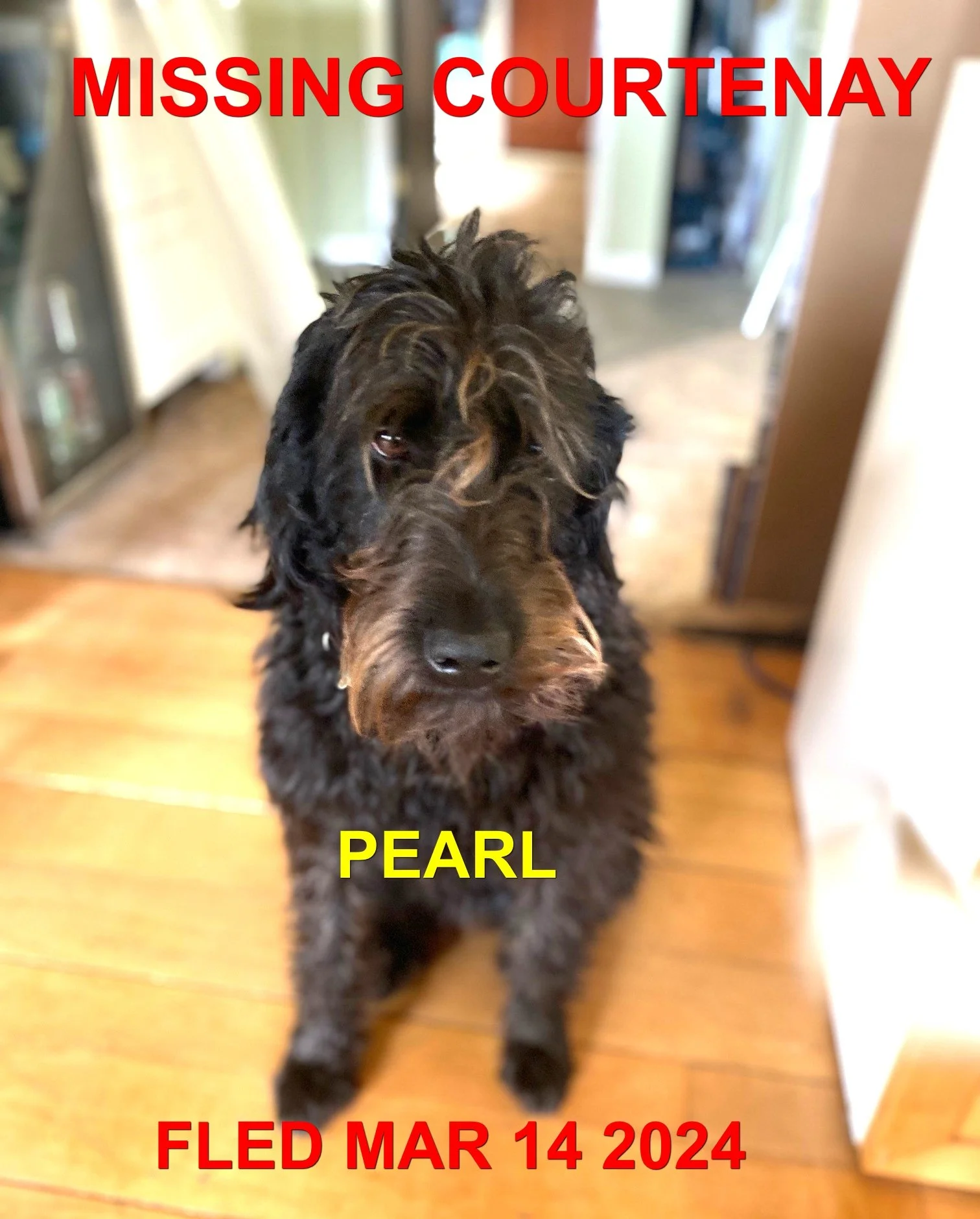 HAPPY ENDINGS - COURTENAY BC. / PEARL / MARCH 14, 2024