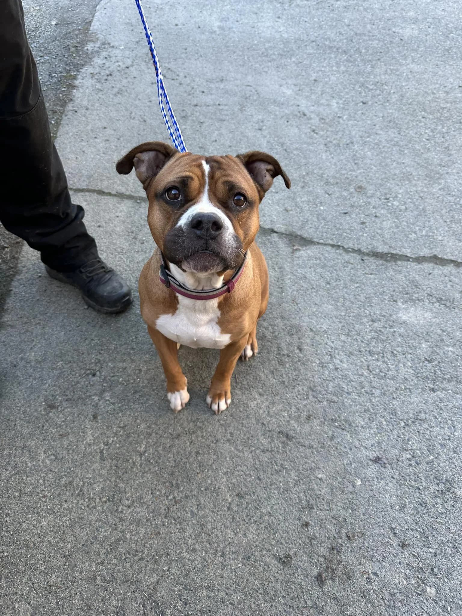 GONE TO SHELTER / HAPPY ENDINGS - CEDAR BC. / MARCH 20, 2024