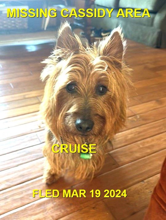 HAPPY ENDINGS - NANAIMO BC. / CRUISE / MARCH 19, 2024