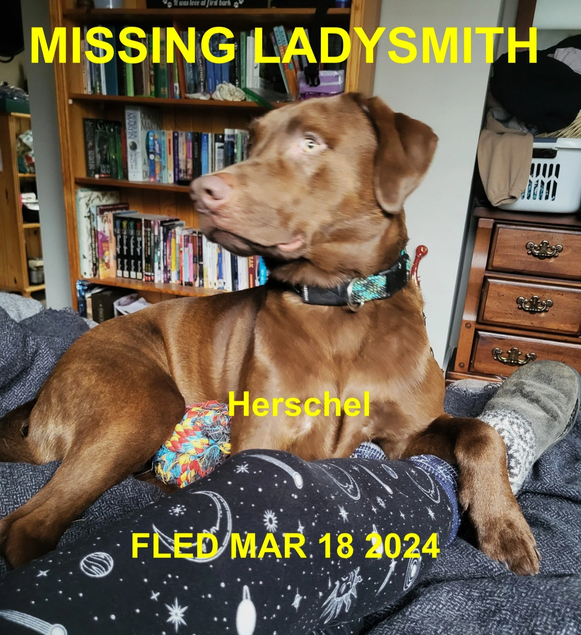 HAPPY ENDINGS - LADYSMITH BC. / HERSCHEL / MARCH 18, 2024