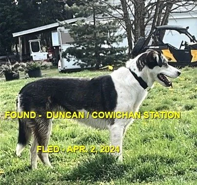 HAPPY ENDINGS - DUNCAN BC.  / APRIL 2, 2024