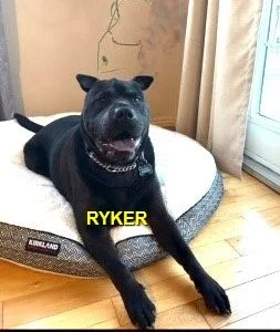 HAPPY ENDINGS - NANAIMO BC. / RYKER / MAR. 31, 2024