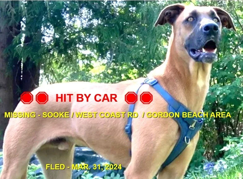 HAPPY ENDINGS - SOOKE BC. / ARROS (HBC) / MAR. 31, 2024