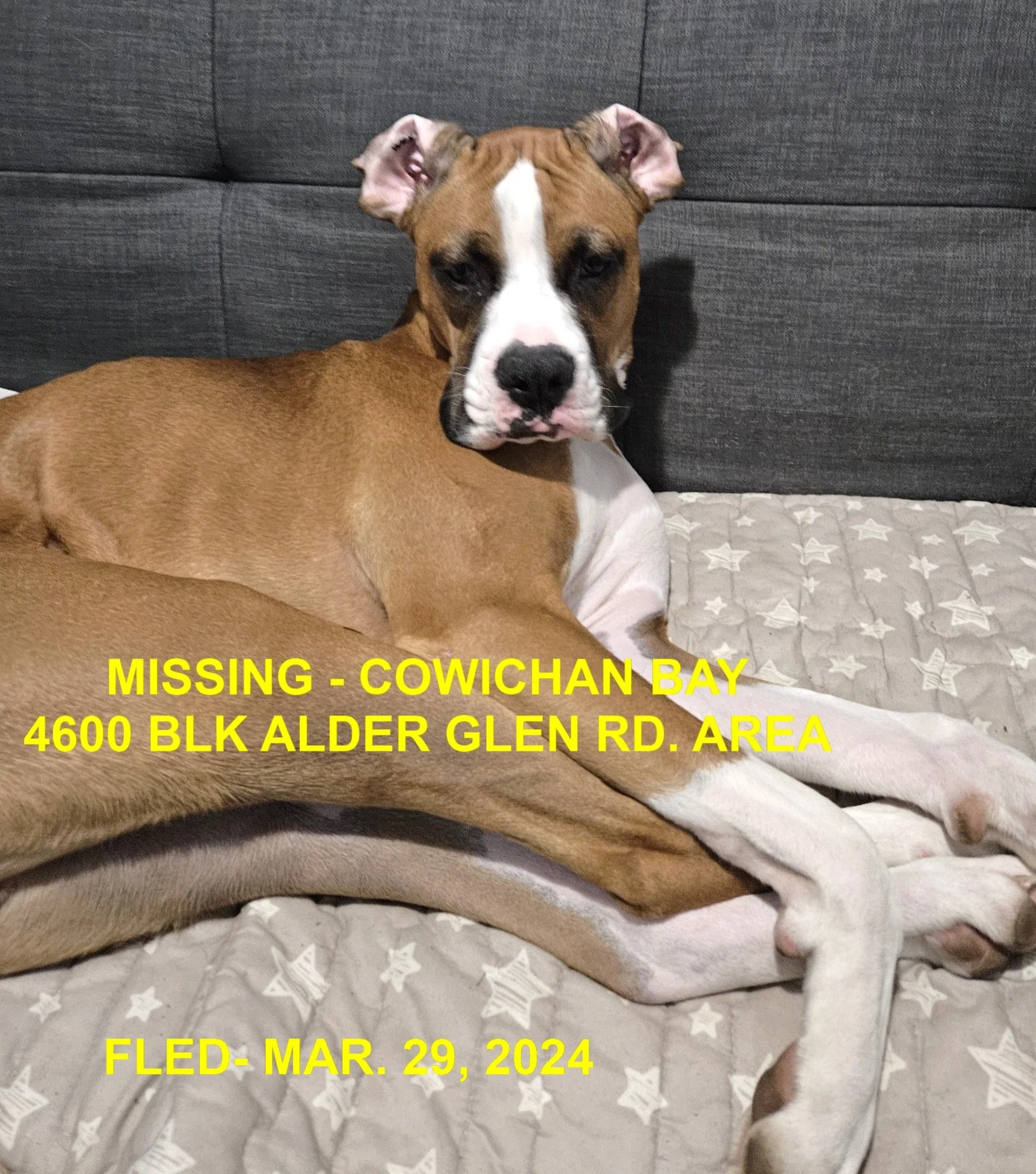 HAPPY ENDINGS - DUNCAN BC. / JACKSON / MAR. 29, 2024