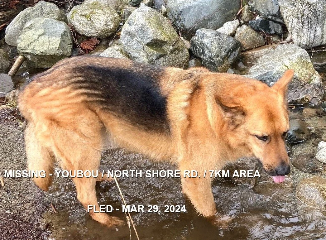 HAPPY ENDINGS - YOUBOU BC. / ROCKY / MAR. 29, 2024