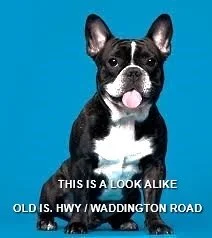 HAPPY ENDINGS - NANAIMO BC. / RILEY (HBC) / MAR. 28, 2024