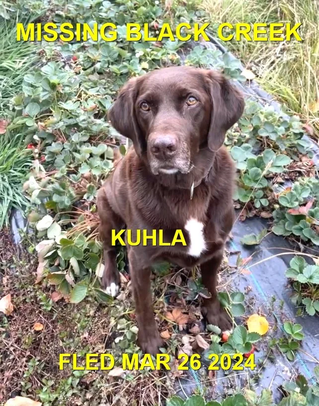 HAPPY ENDINGS - BLACK CREEK BC. / KUHLA / MAR. 26, 2024