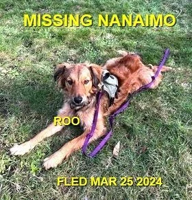 HAPPY ENDINGS - NANAIMO BC. / ROO / MAR. 25, 2024