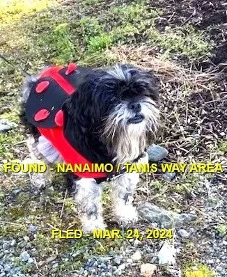 HAPPY ENDINGS - NANAIMO BC. / MAR. 24, 2024