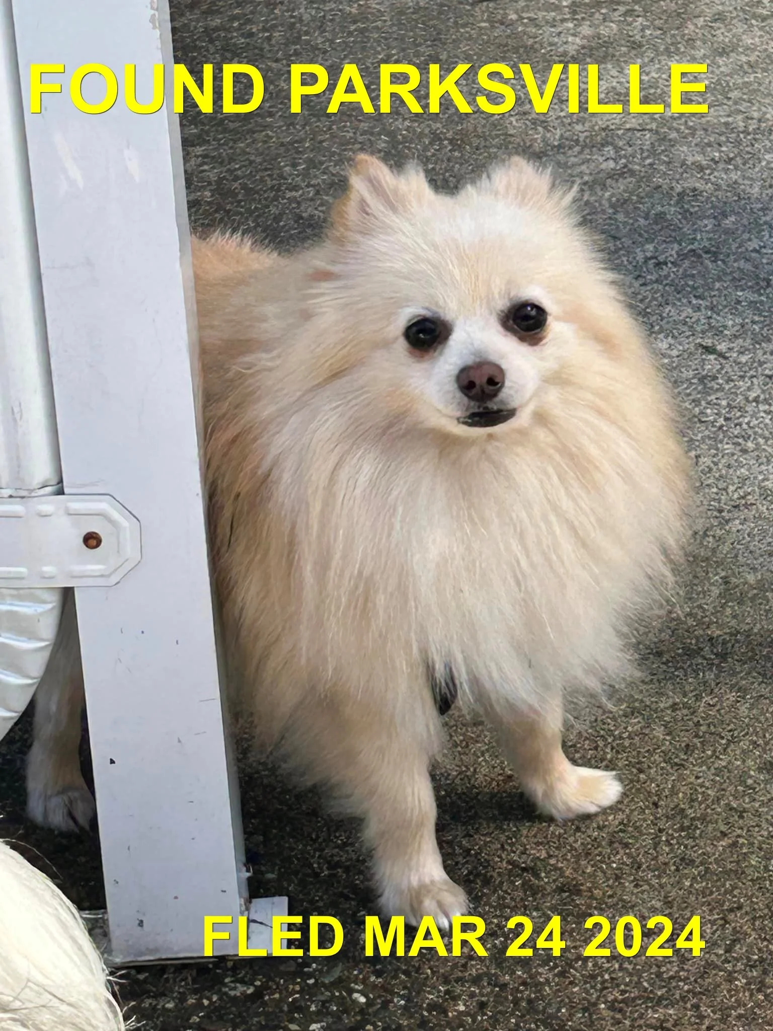 HAPPY ENDINGS -  PARKSVILLE BC. / MAR. 24, 2024