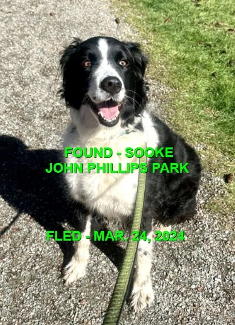 HAPPY ENDINGS - SOOKE BC. / MAR. 24, 2024