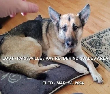 HAPPY ENDINGS - PARKSVILLE BC. / MERCY / MAR. 23, 2024 (SAFELY TRAPPED)