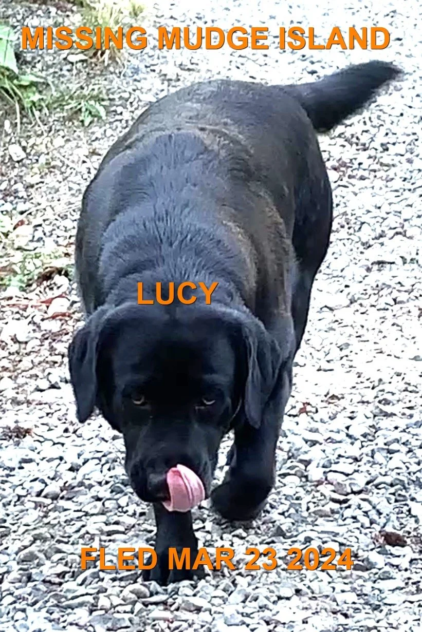 HAPPY ENDINGS - NANAIMO BC. / MUDGE ISLAND / LUCY / MAR. 20, 2024