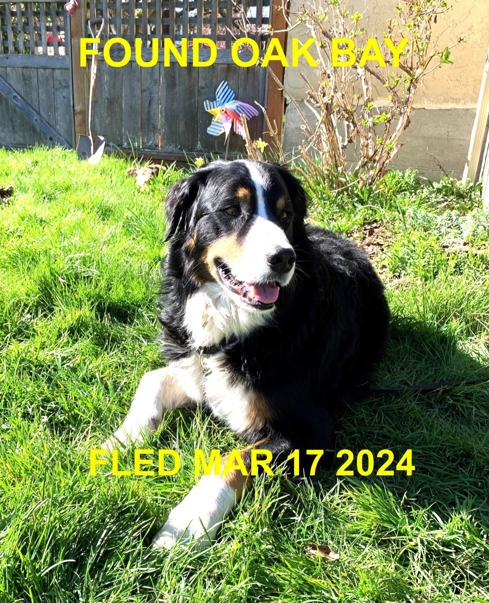 HAPPY ENDINGS - OAK BAY BC. / MAR. 17, 2024