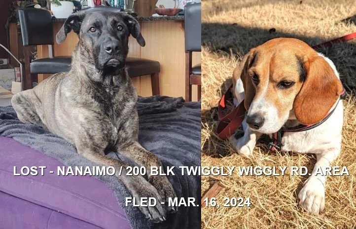 HAPPY ENDINGS - X2 NANAIMO BC. / HANK &amp; ZENA / MAR. 16, 2024