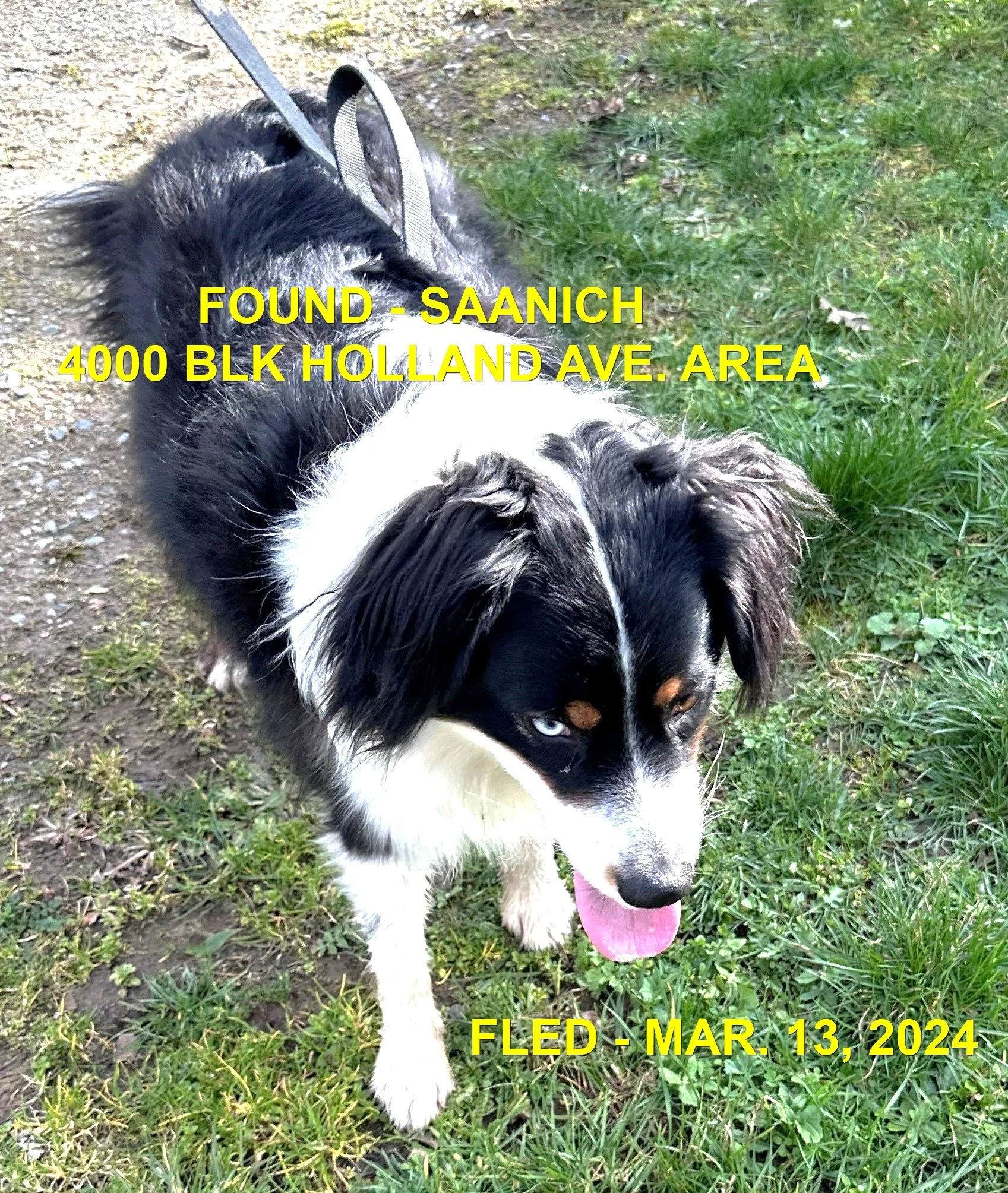 HAPPY ENDINGS - SAANICH BC. / MAR. 13, 2024