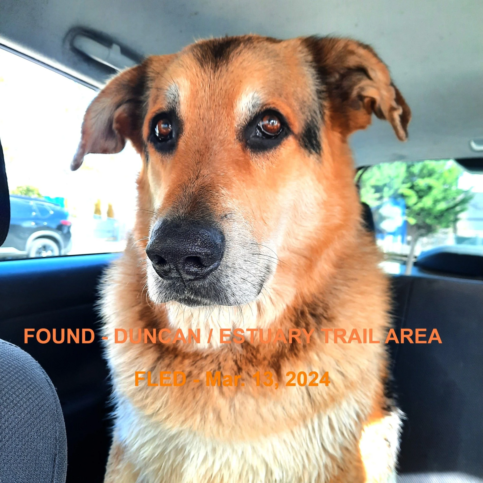 GONE TO SHELTER / HAPPY ENDINGS - DUNCAN BC. / MAR. 13, 2024