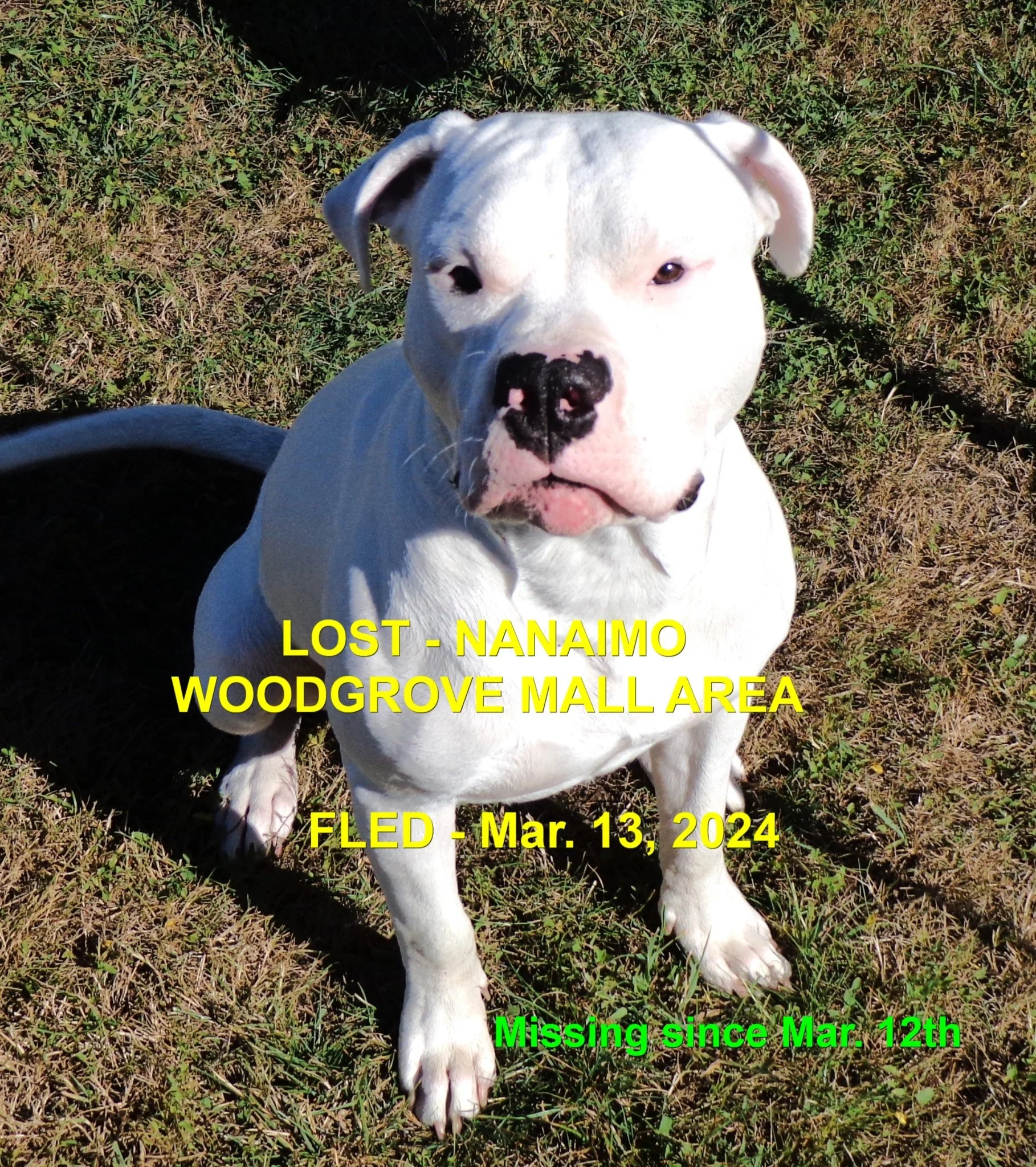 HAPPY ENDINGS - NANAIMO BC. / HARLEY / MAR. 12, 2024