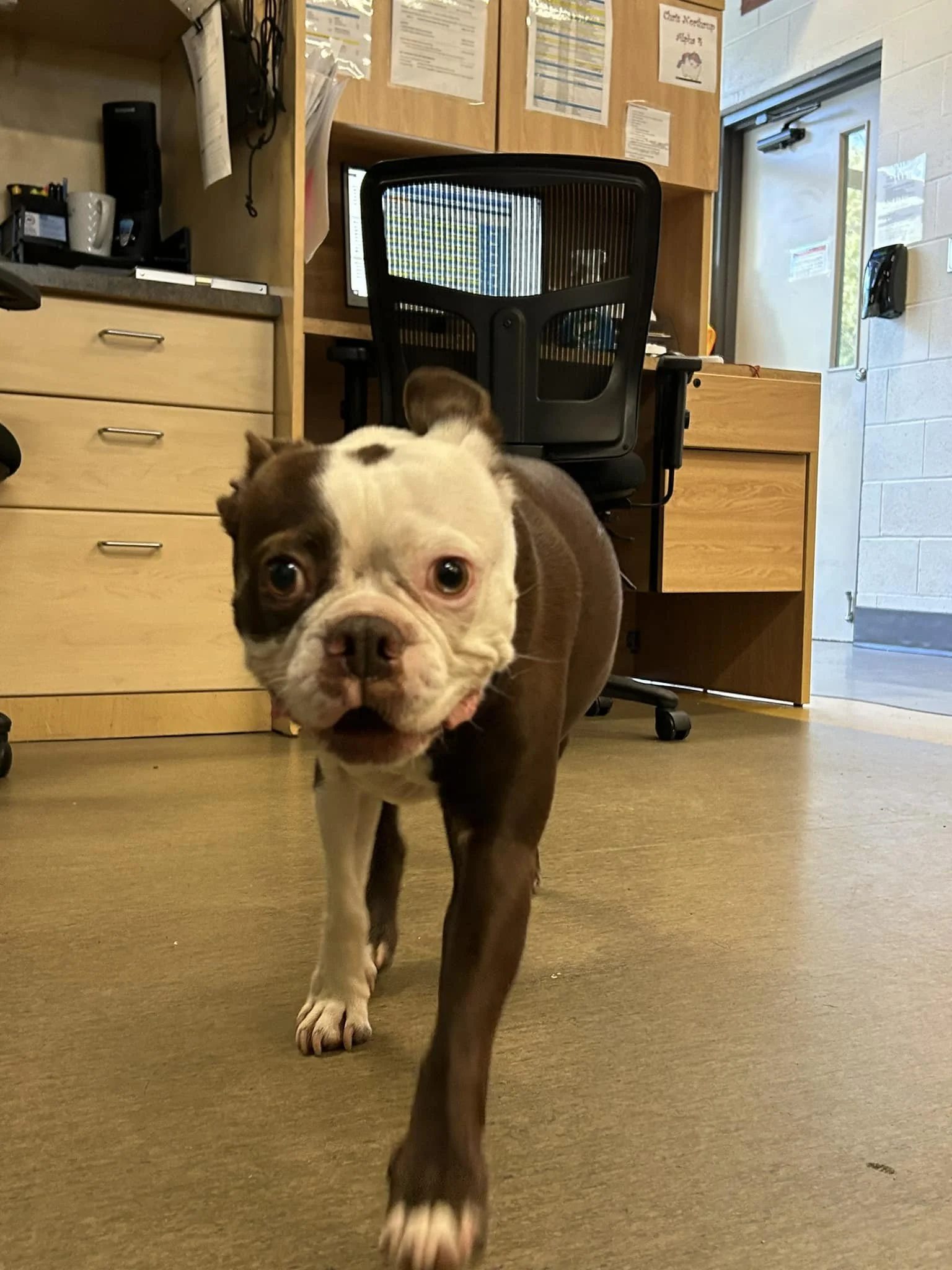 GONE TO SHELTER / HAPPY ENDINGS - NANAIMO BC. / MAR. 12, 2024