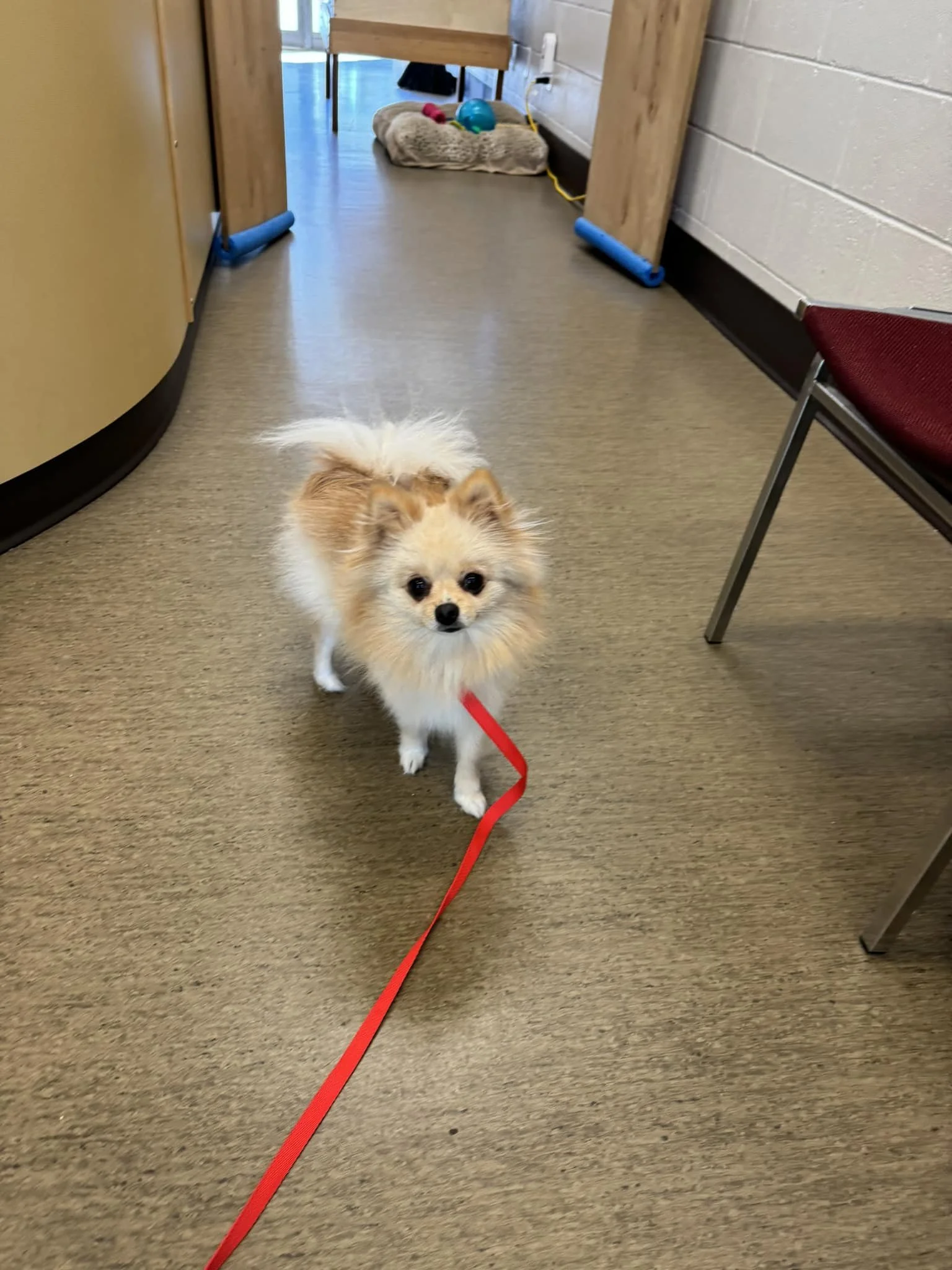 GONE TO SHELTER / HAPPY ENDINGS - NANAIMO BC. / MAR. 12, 2024