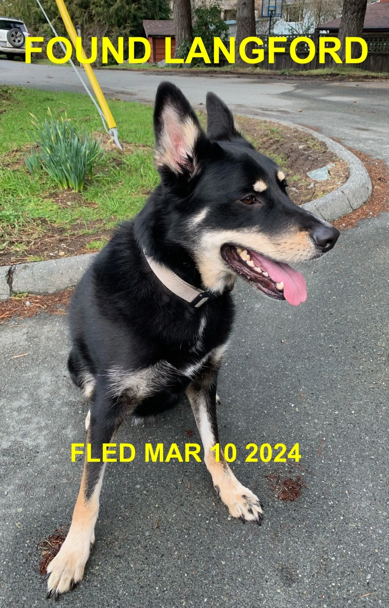 HAPPY ENDINGS - LANGFORD BC. / AJAX / MAR. 10, 2024