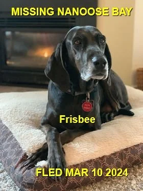 HAPPY ENDINGS - NANOOSE BAY BC. / FRISBEE / MAR. 10, 2024