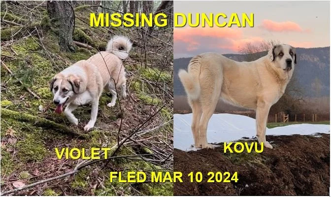 HAPPY ENDINGS - DUNCAN BC. / VIOLET &amp; KOVU / MAR. 10, 2024