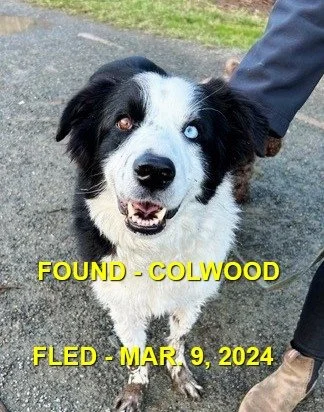 HAPPY ENDINGS - COLWOOD BC. / MAR. 9, 2024