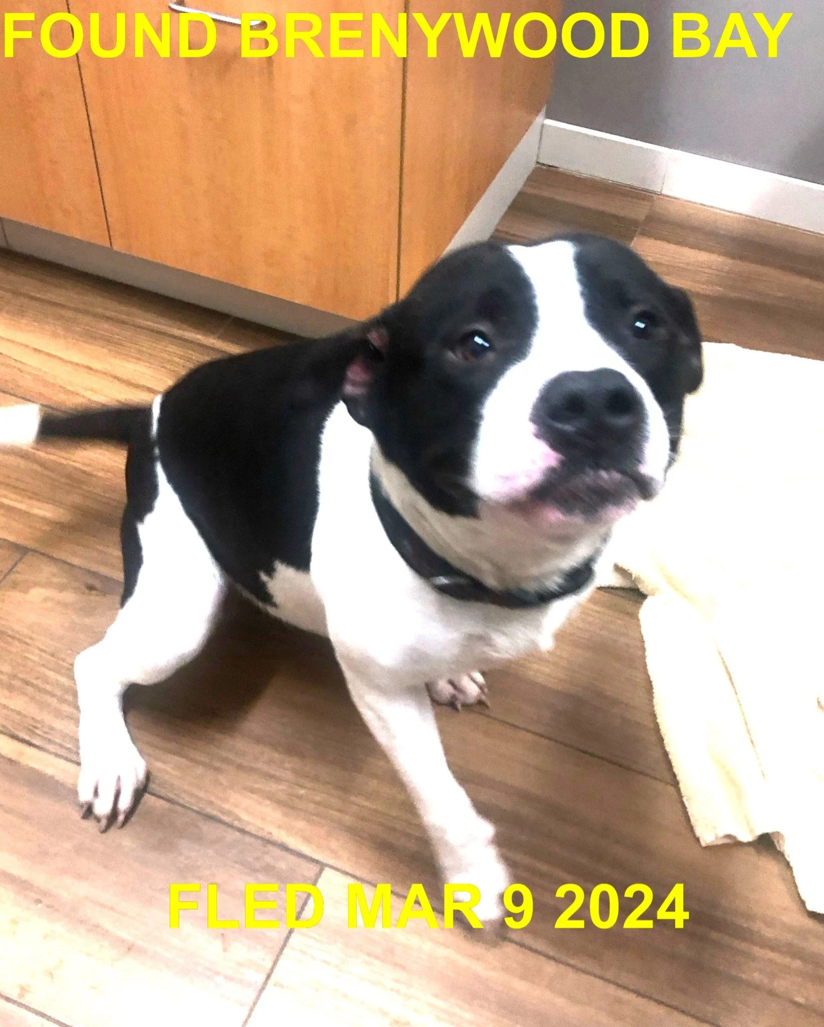 HAPPY ENDINGS - BRENTWOOD BAY BC. / MAR. 8, 2024