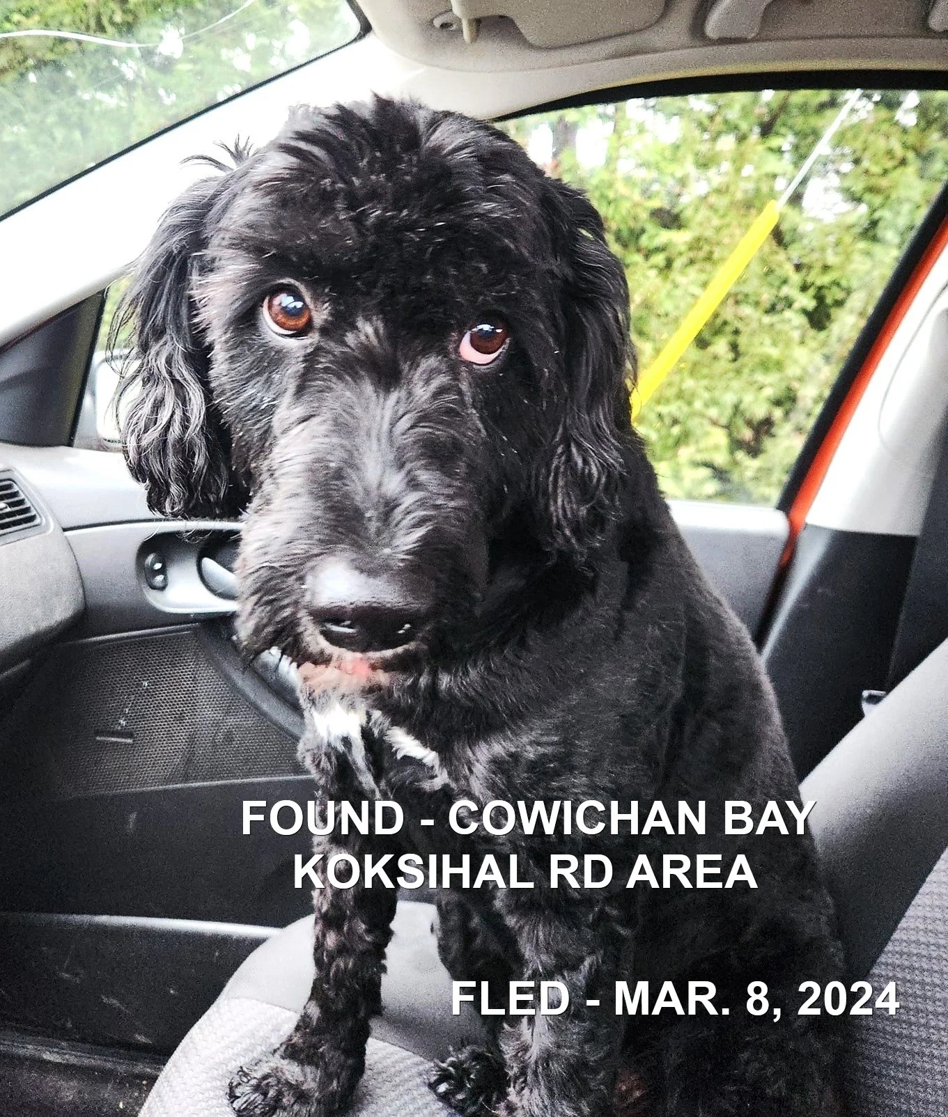 HAPPY ENDINGS - COWICHAN BAY BC. / MAR. 8, 2024