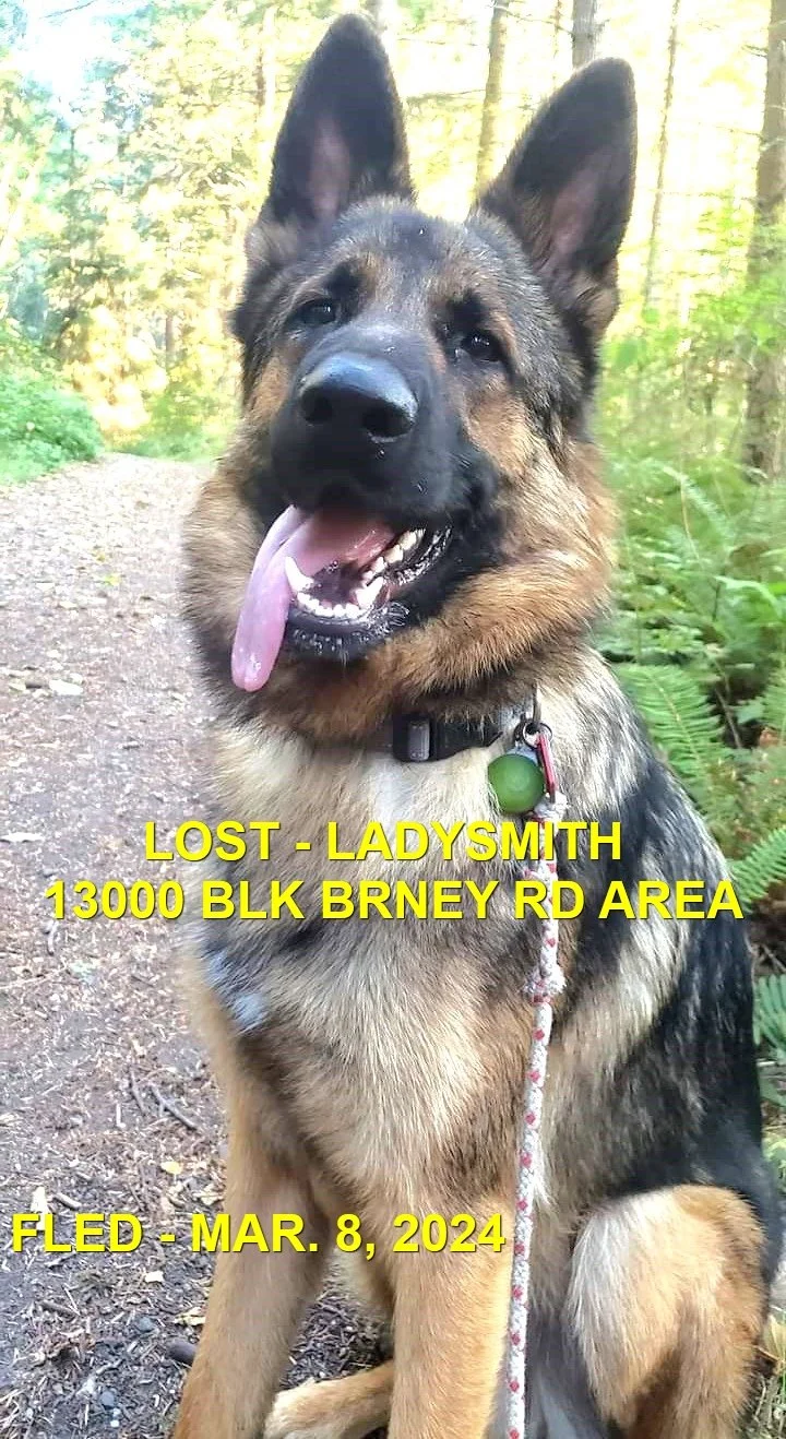 HAPPY ENDINGS - LADYSMITH BC. / YAGER / MAR 7, 2024