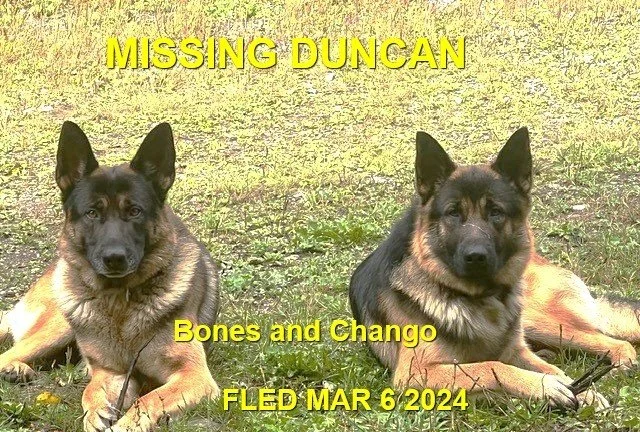 HAPPY ENDINGS - DUNCAN BC. / BONES &amp; CHANGO / MAR. 6, 2024