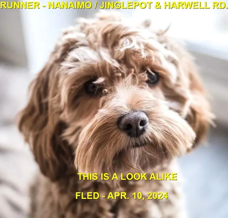 HAPPY ENDINGS - NANAIMO BC. / APRIL 10, 2024